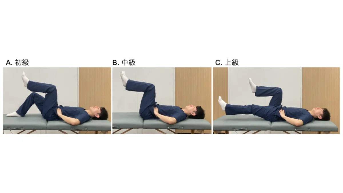非特異的腰痛の評価と運動療法| 株式会社Sportip 非特異的腰痛の評価と運動療法| 株式会社Sportip