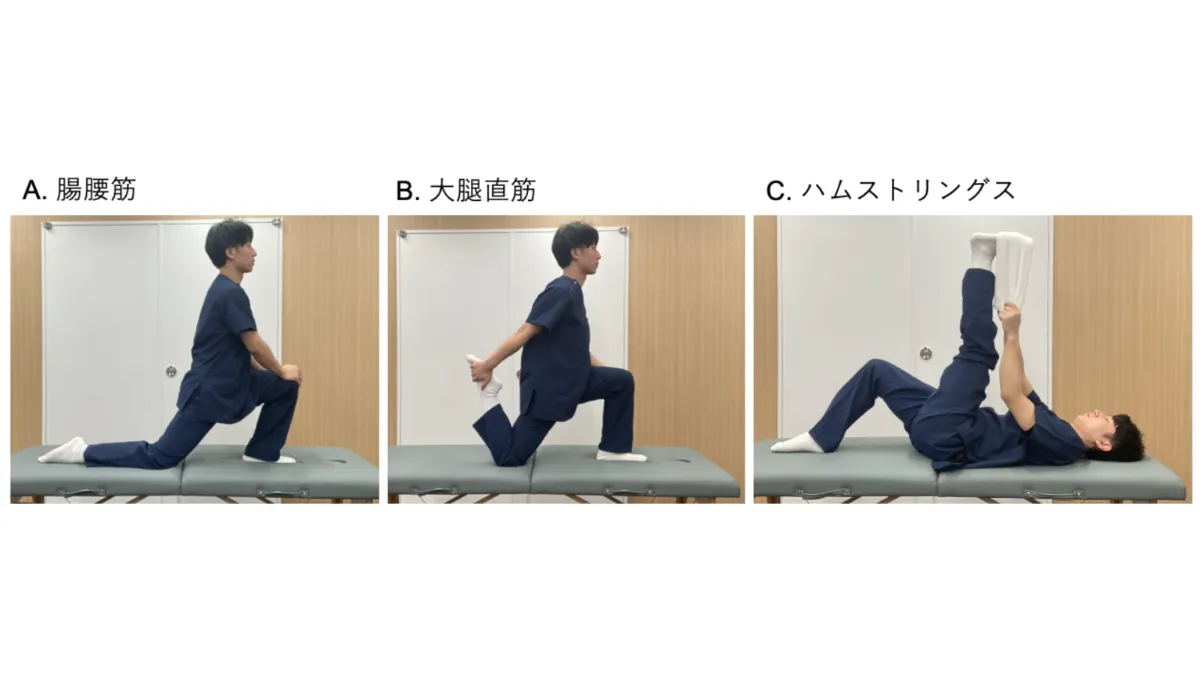 非特異的腰痛の評価と運動療法| 株式会社Sportip 非特異的腰痛の評価と運動療法| 株式会社Sportip
