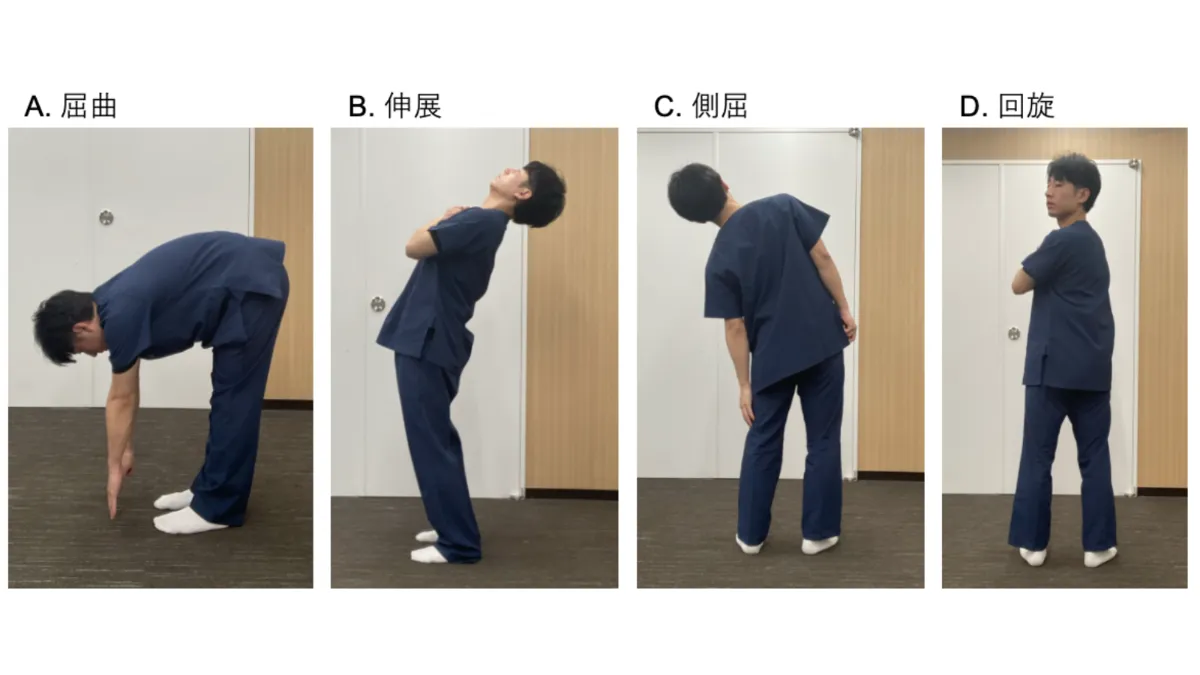 腰痛症に対する理学療法評価　1と2 腰痛症に対する理学療法評価 ～評価から考えられる治療法の選択
