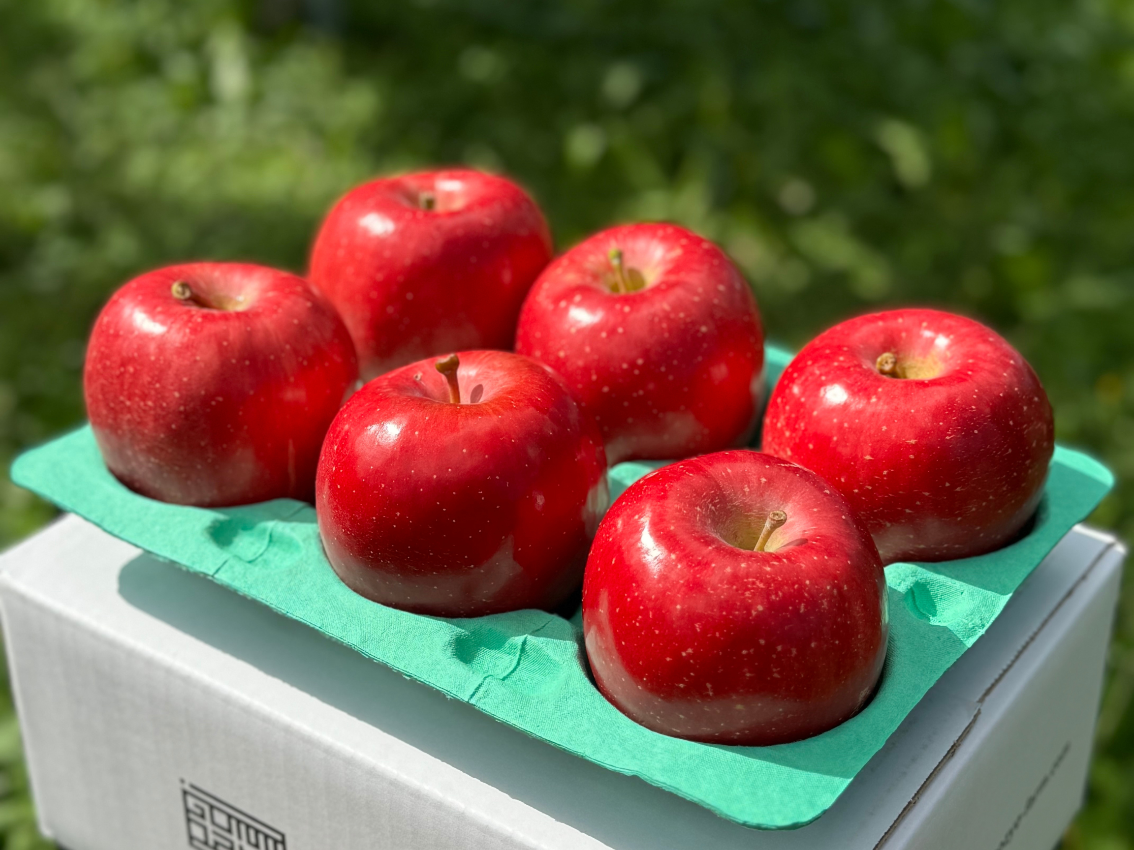 【りんご品】 品種 – りんご侍