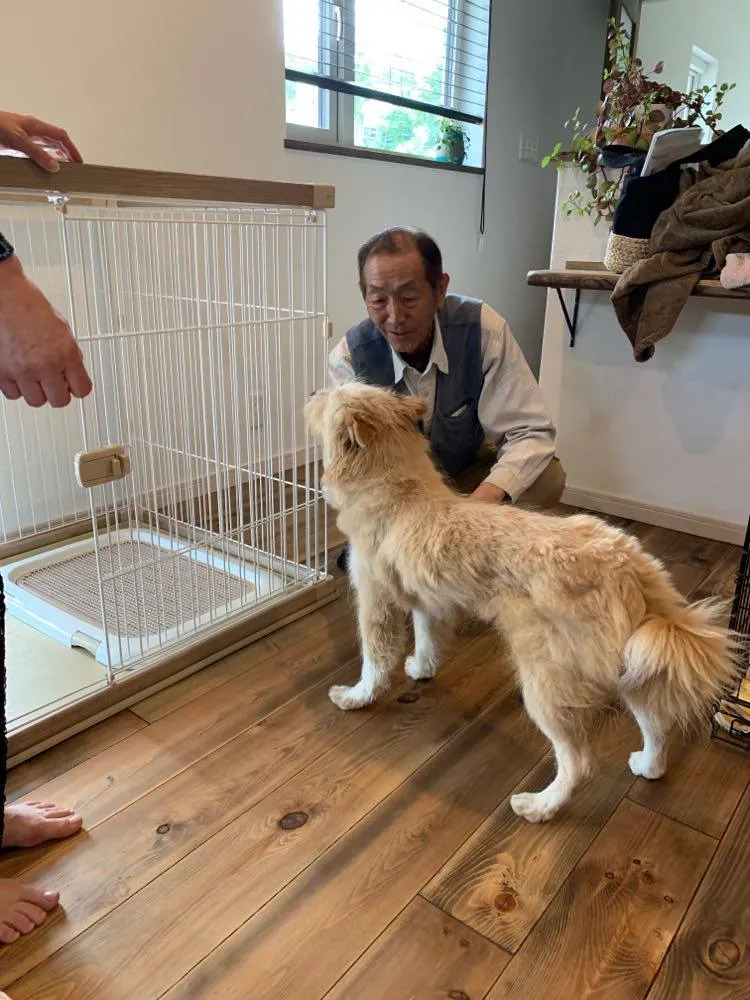 我が家に犬がやってきた 自然素材を大切にした仙台の工務店クラフィットホーム 我が家に犬がやってきた 自然素材を大切にした仙台の工務店クラフィットホーム