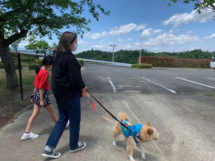 我が家に犬がやってきた 自然素材を大切にした仙台の工務店クラフィットホーム 我が家に犬がやってきた 自然素材を大切にした仙台の工務店クラフィットホーム