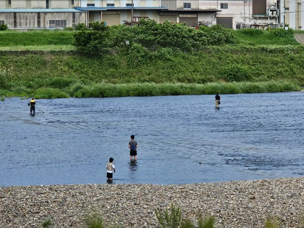 祝 京淀川漁協鮎解禁！｜お知らせ｜Good Small Company