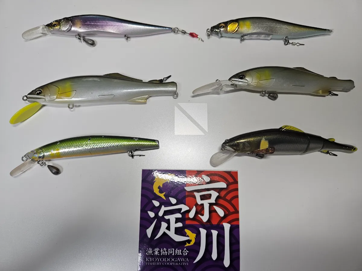 桂川鮎ルアー終盤の釣り方・タックル考察｜お知らせ｜Good Small Company