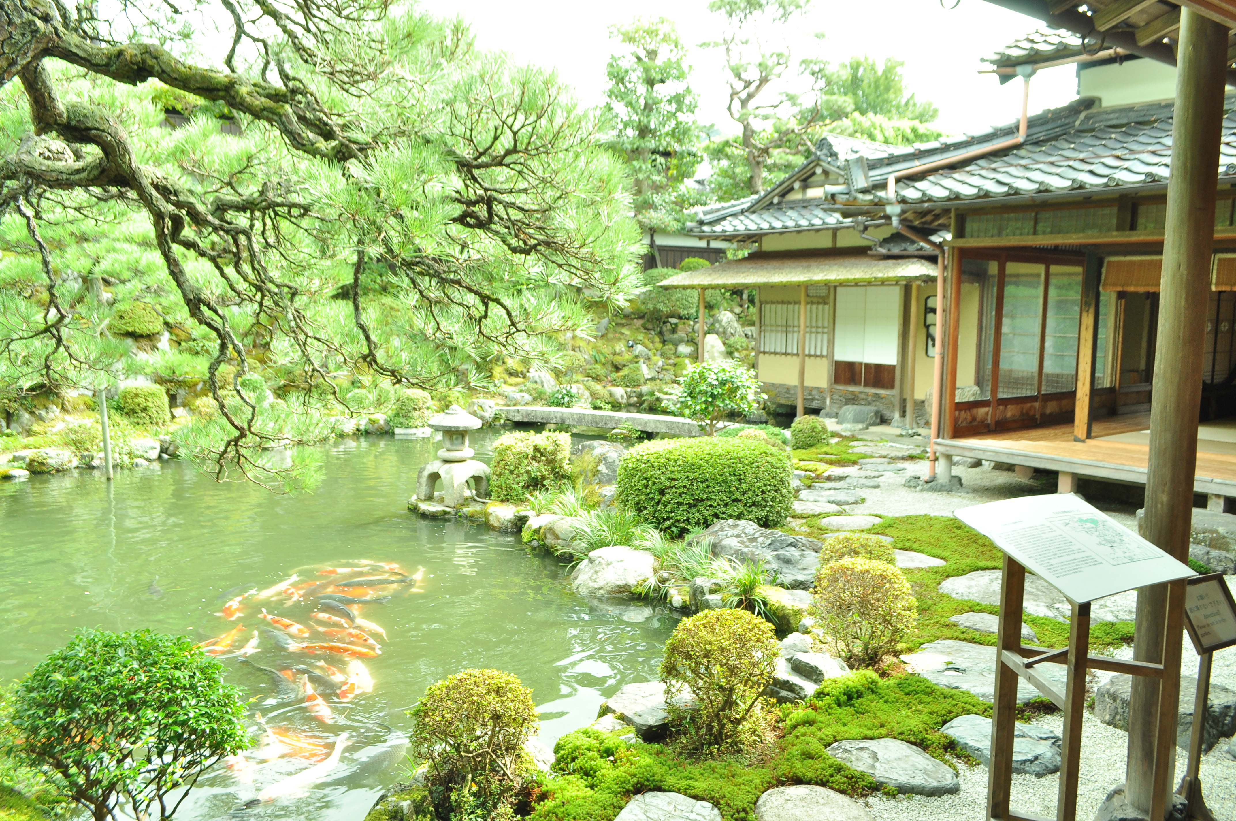 煤竹 すす竹 和風 日本家屋 古民家 日本庭園 【公式通販】