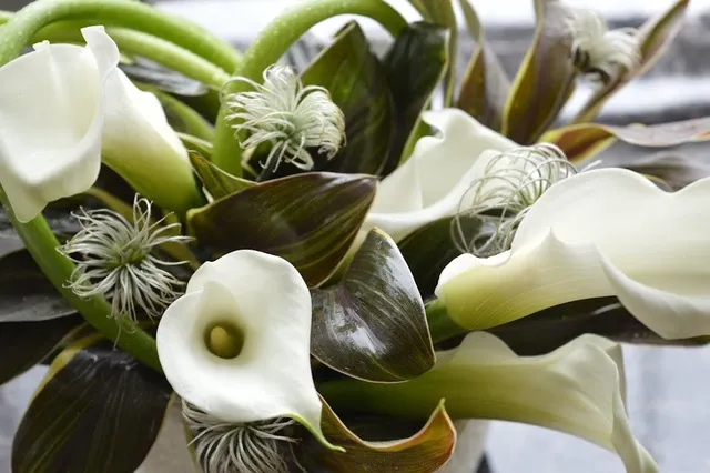 花 国産デニム アフリカ展 フラワーアーティスト 熊谷珠樹の仲間 と Kakeru U展 5 14 土 15 日