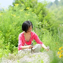 ビオスチーム よもぎもぐさ Amazon | ビオバス 1袋 ＜ビオスチーム 発酵野草蒸し