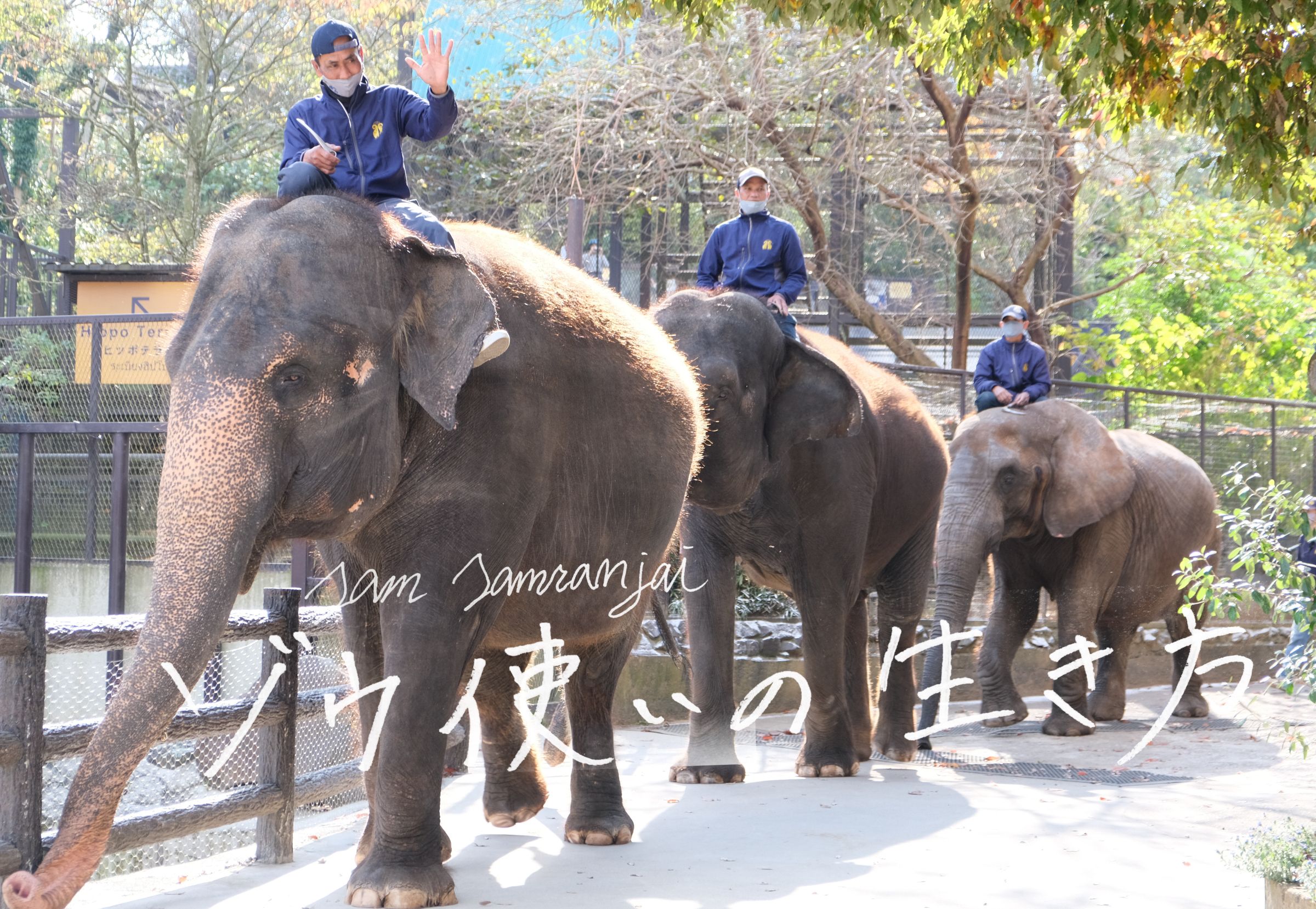 Kevinの部屋タイアンティークジャングルを歩くゾウとゾウ使いが精巧に