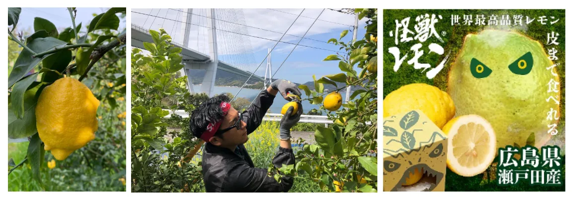 アップサイクルな原料で産地支援！「冷やして食べるとろけるくりーむ