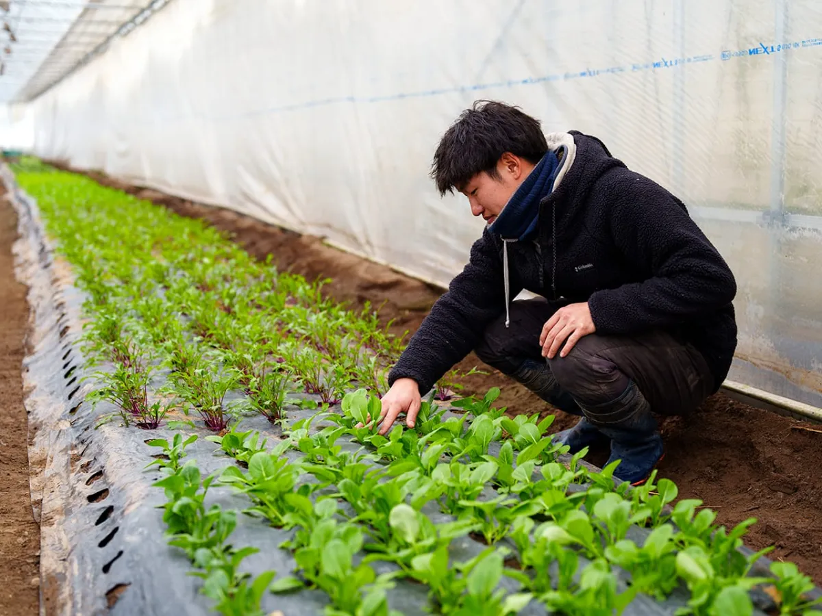 エコファーム奥野】農法ではなく、自分たちがつくりたい作物にこだわる