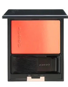 SUQQU ピュアカラーブラッシュ パーソナルカラー解説