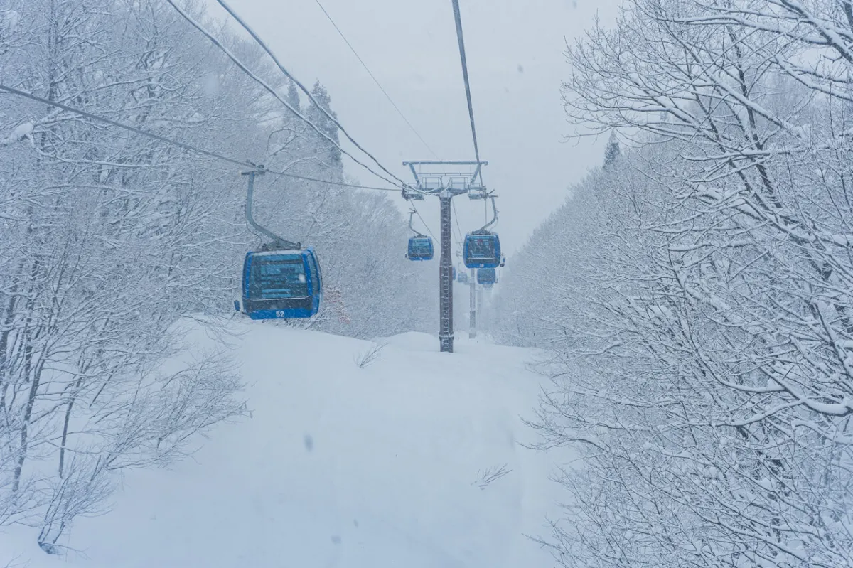 SNOW HEAVEN