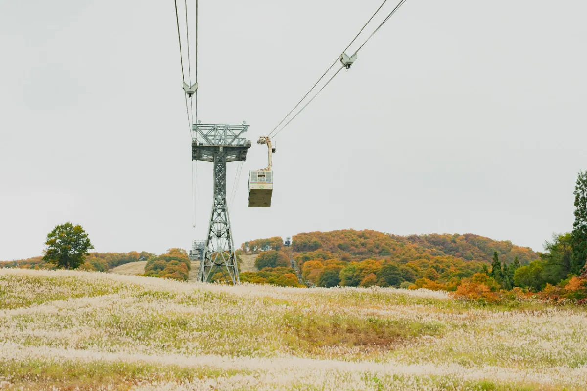 s-1280x853_v-fms_webp_5e2b318b