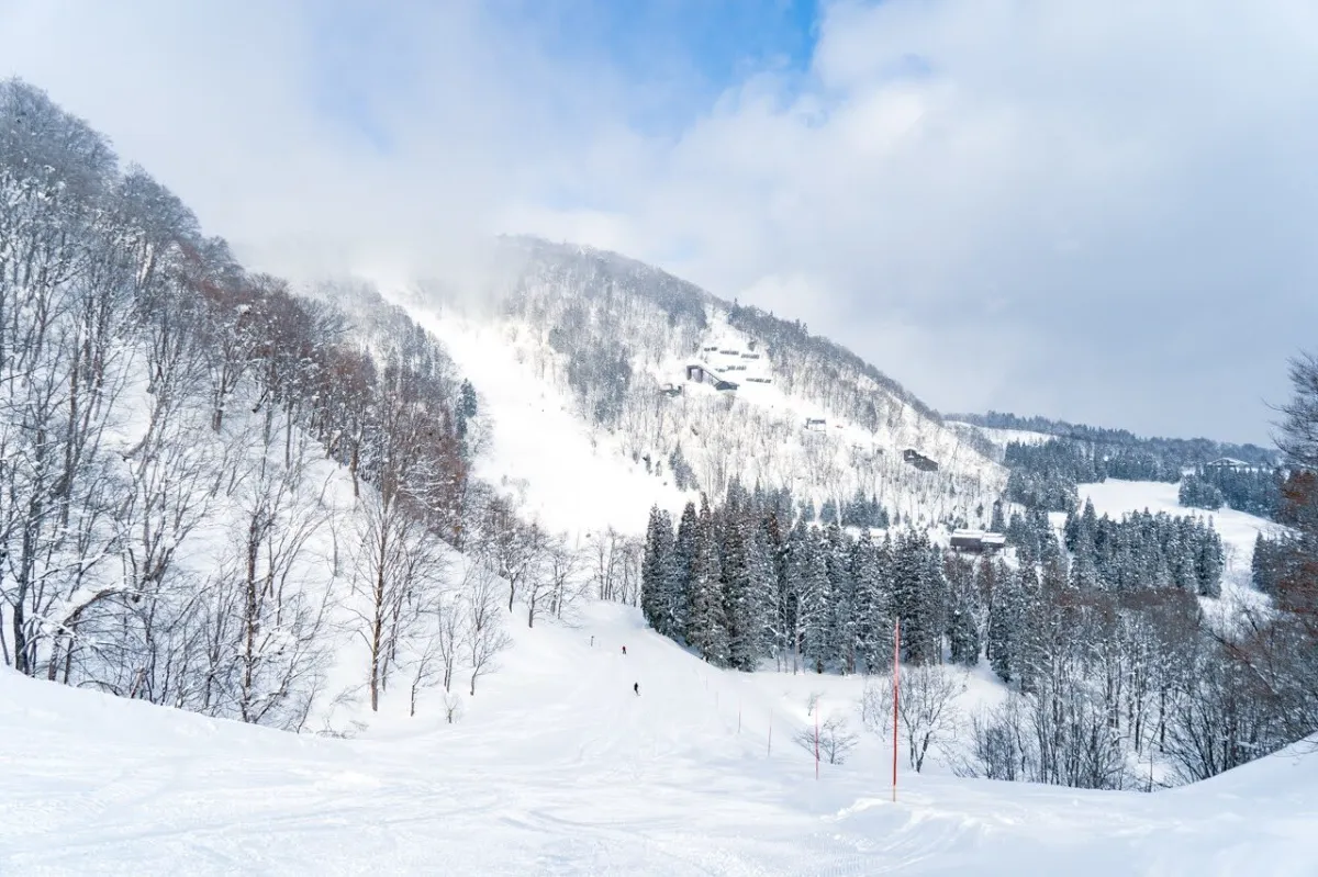 【当日発送】赤倉観光リゾートスキー場　1day 2枚セット 当日発送】赤倉観光リゾートスキー場 1day 2枚セット 赤倉観光
