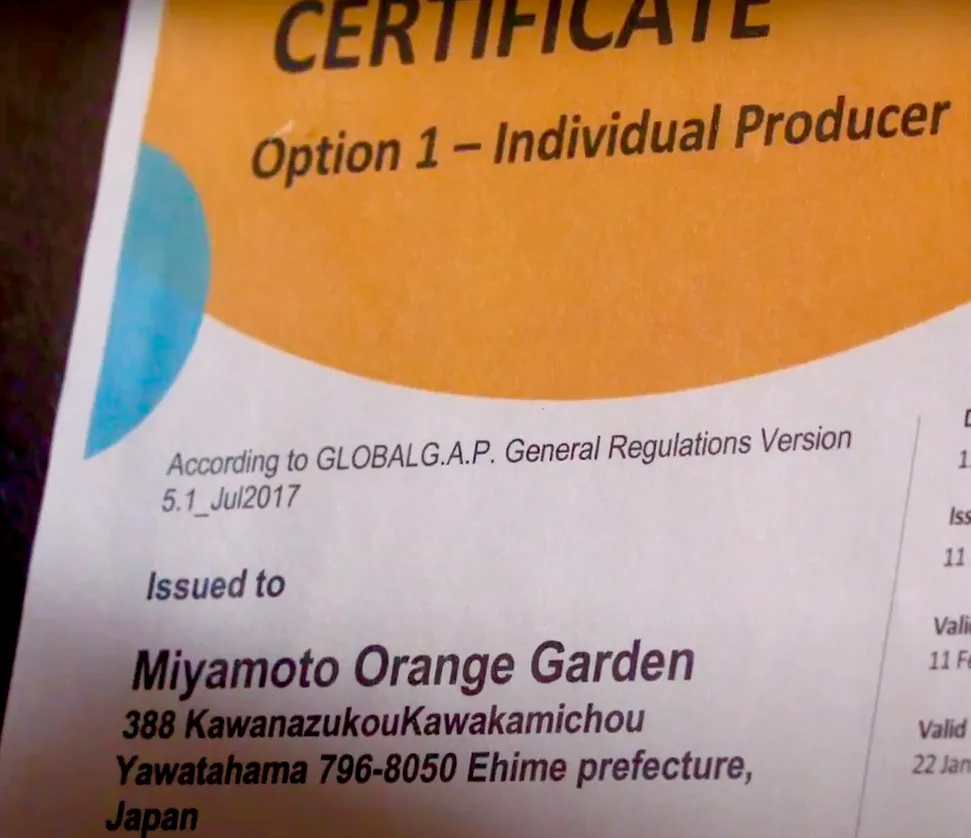 農業生産法人 株式会社ミヤモトオレンジガーデン COTOVIA | 事例