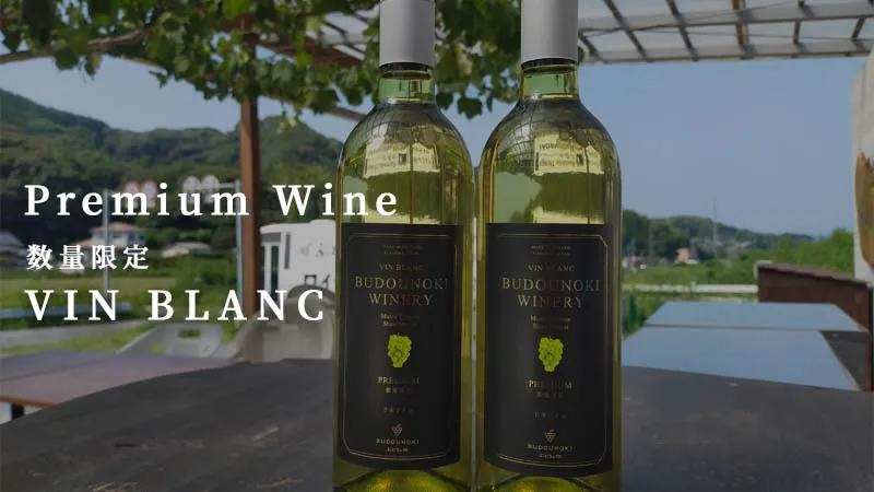 ぶどうの樹premiumワイン 数量限定！VIN BLANC｜お知らせ｜Good