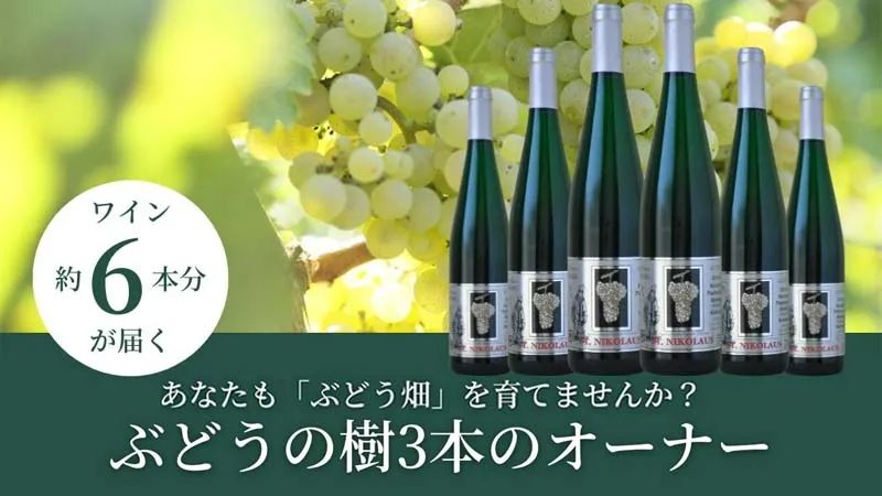 ぶどうの丘オンラインショップ - 商品詳細