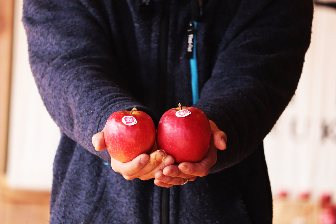 マルカメ果樹園 ｜ 長野県りんご狩り