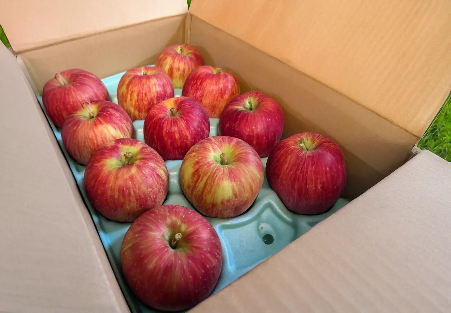マルカメ果樹園 ｜ 長野県りんご狩り