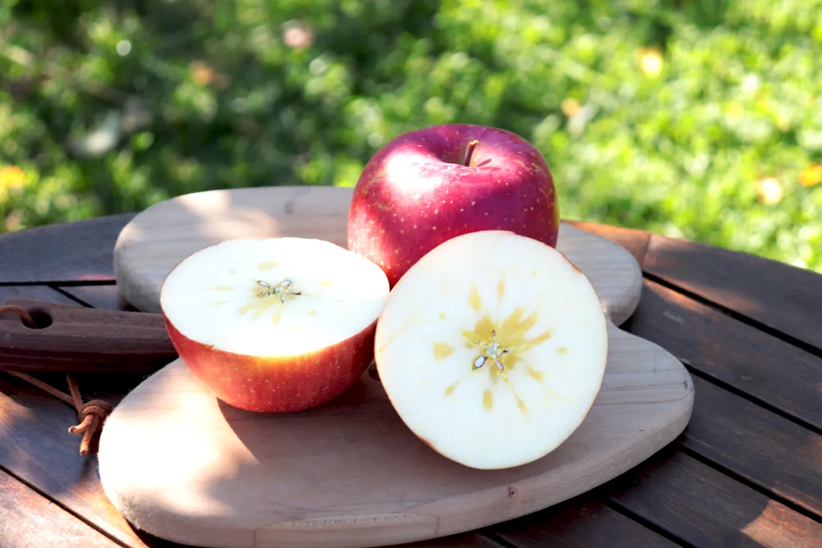 マルカメ果樹園 ｜ 長野県りんご狩り