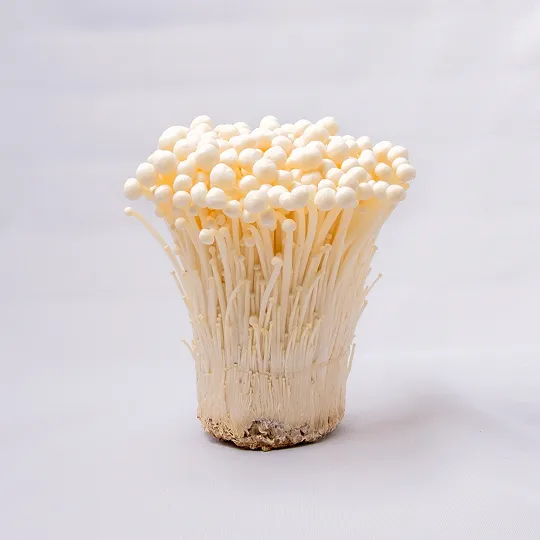 茶えのきJA中野市の生産者 | 株式会社ハーツ