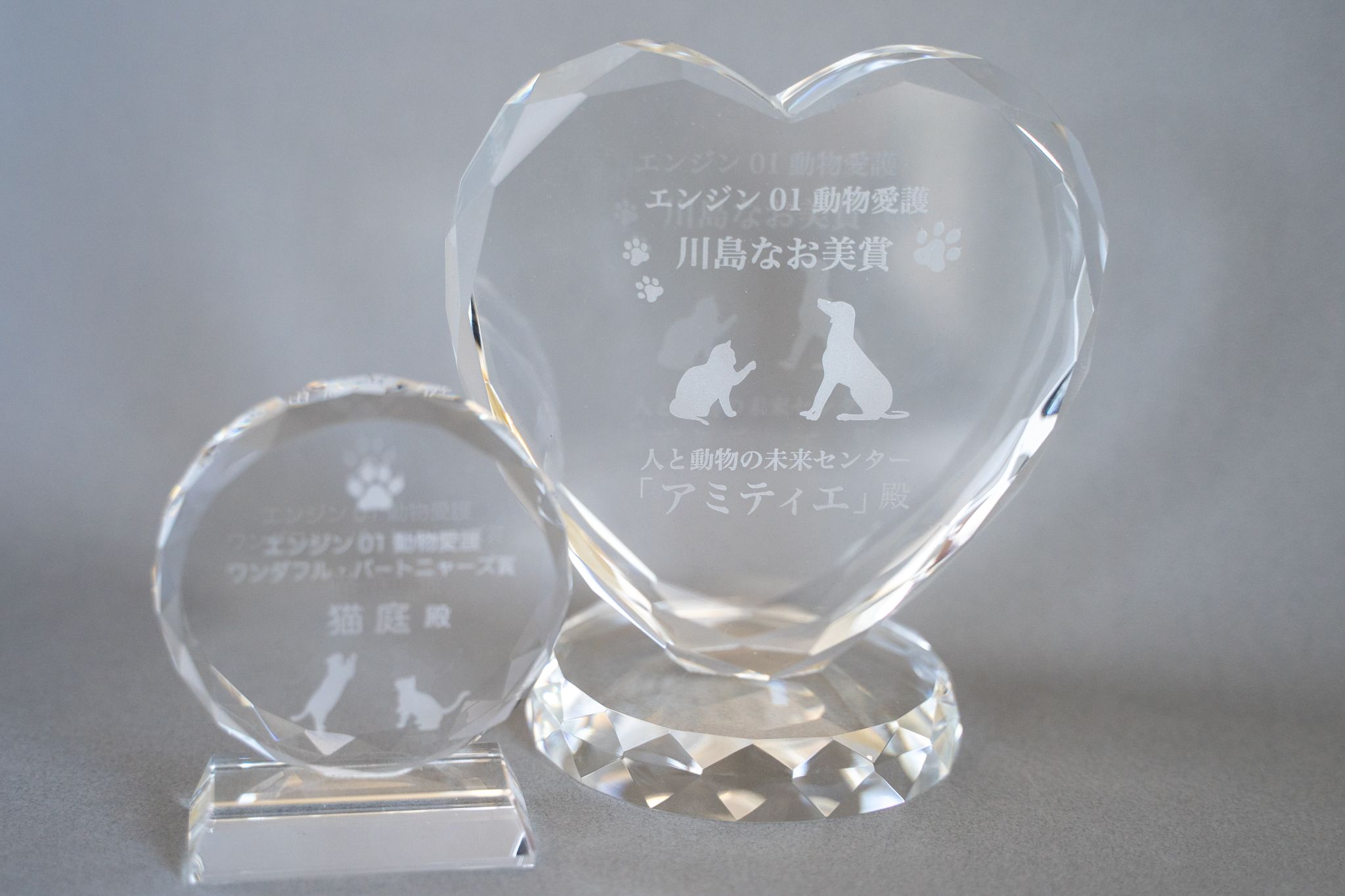 特別感のあるオリジナルデザインのクリスタル盾：実績紹介（エンジン01様）