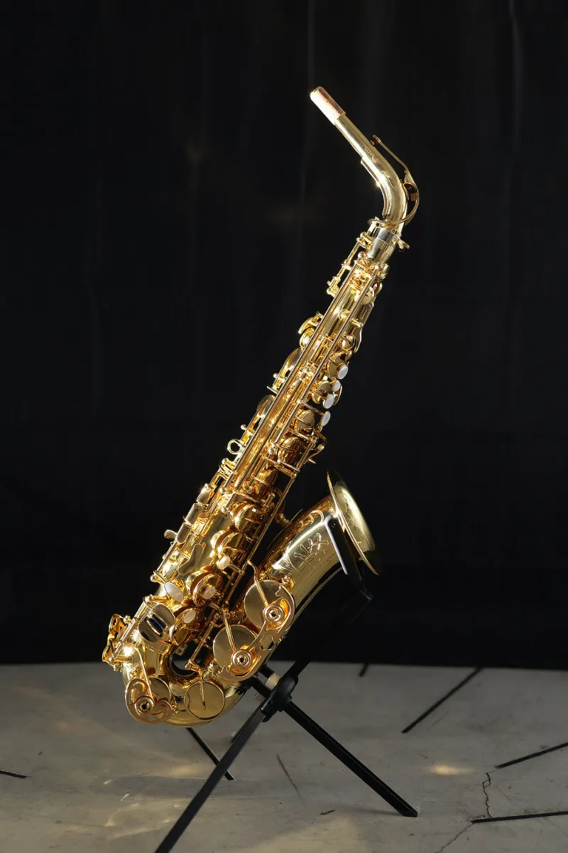 【希少】Palatino USA製 アルトサックス Palatino Student Alto Saxophone with Case & Mouthpiece. | eBay