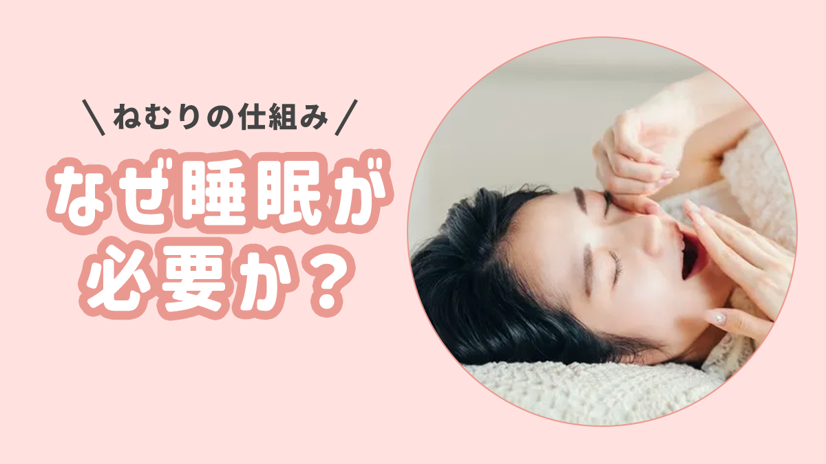なぜ睡眠が必要？ねむりの仕組み ｜睡眠改善で従業員のメンタル