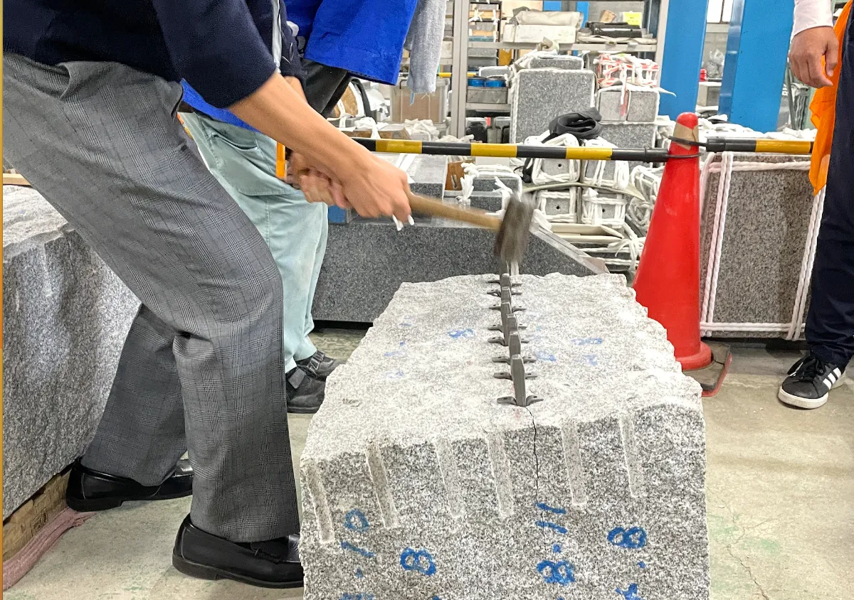 ガイコツ　パーク様　送料等　専用 こーばへ行こう！2025