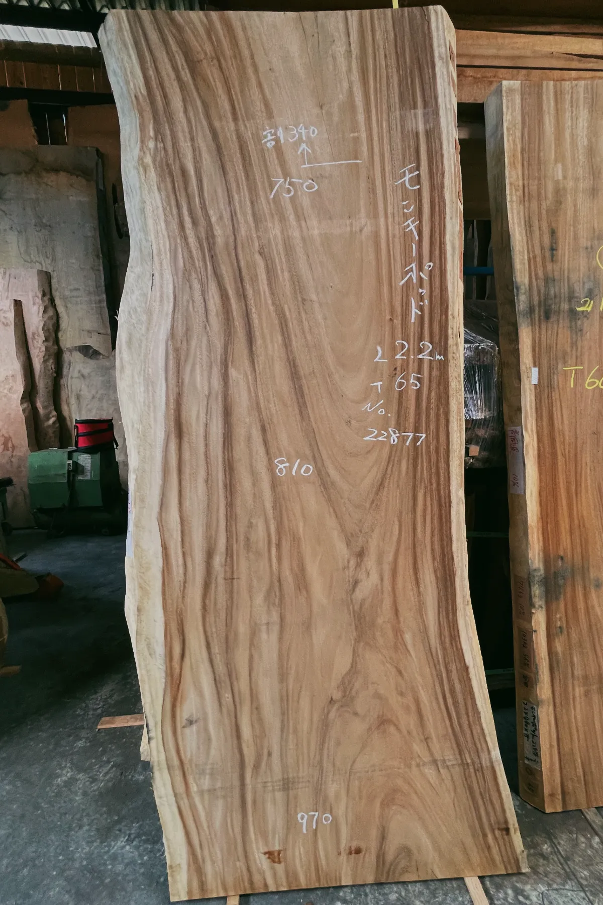 在庫】ダイニングテーブル向けモンキーポッドの一枚板 | 谷田木材-静岡