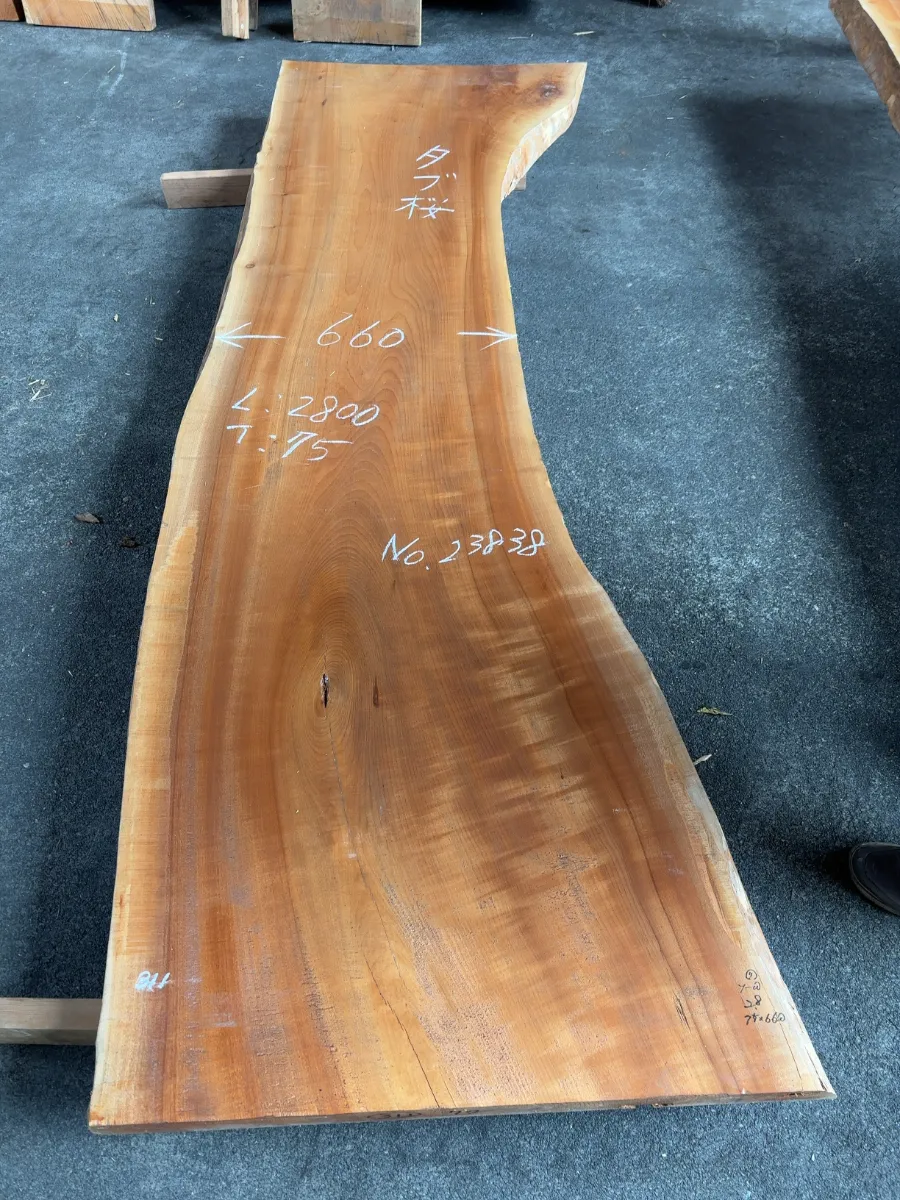 タブ桜[23838]- 新入荷情報 | 谷田木材-静岡県三島市にある木材会社