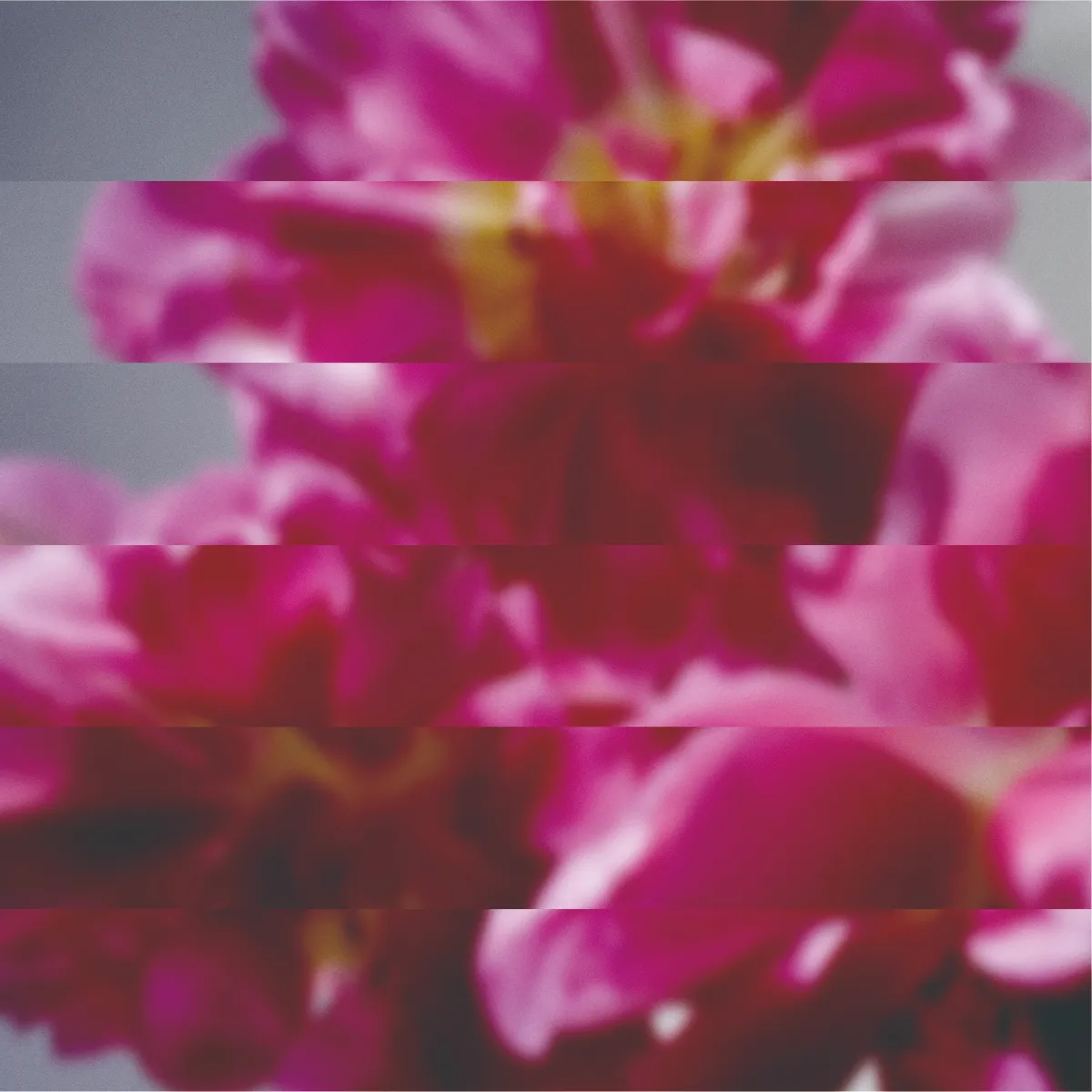 Mondo Grosso / 何度でも新しく生まれる | Shinichi Osawa