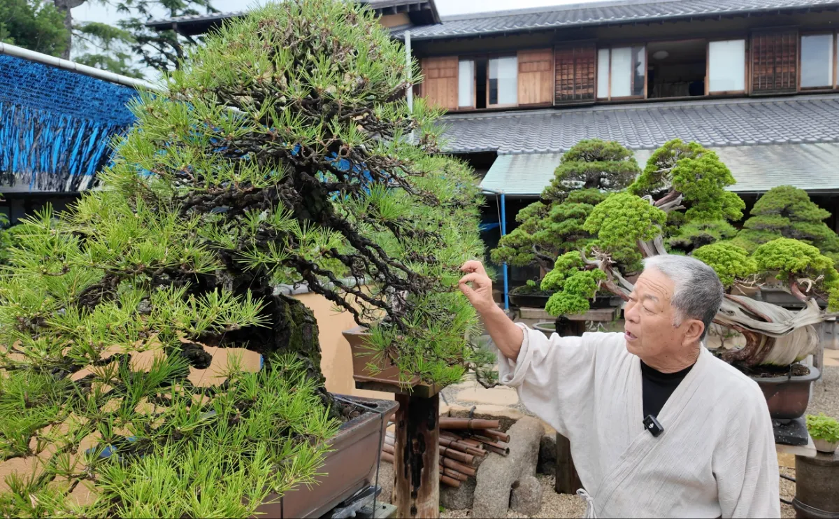 1億円の盆栽を作る男」小林國雄さん/春花園BONSAI美術館 1億円の盆栽を作る男」小林國雄さん/春花園BONSAI美術館