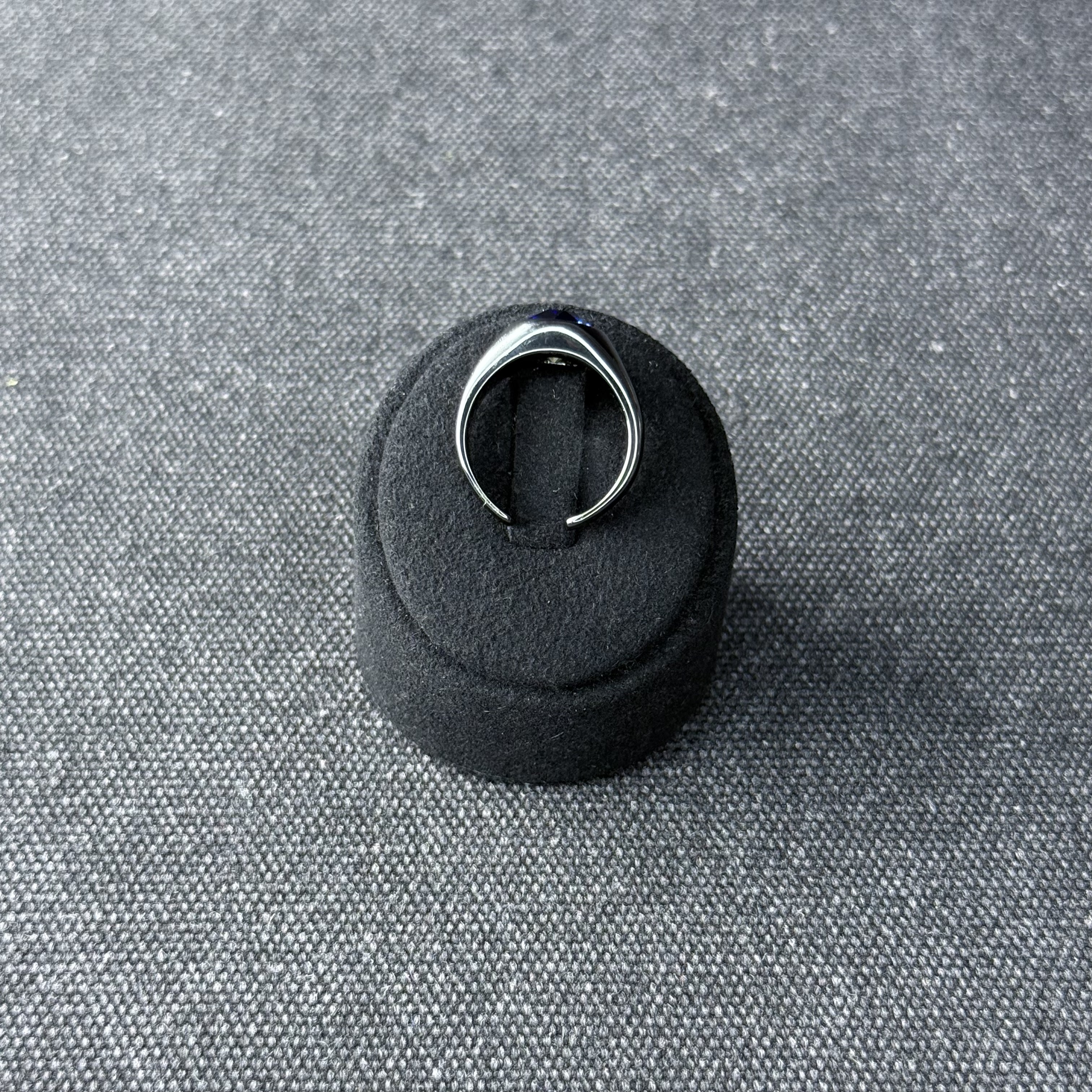 Anulus signatoriusのお写真です。