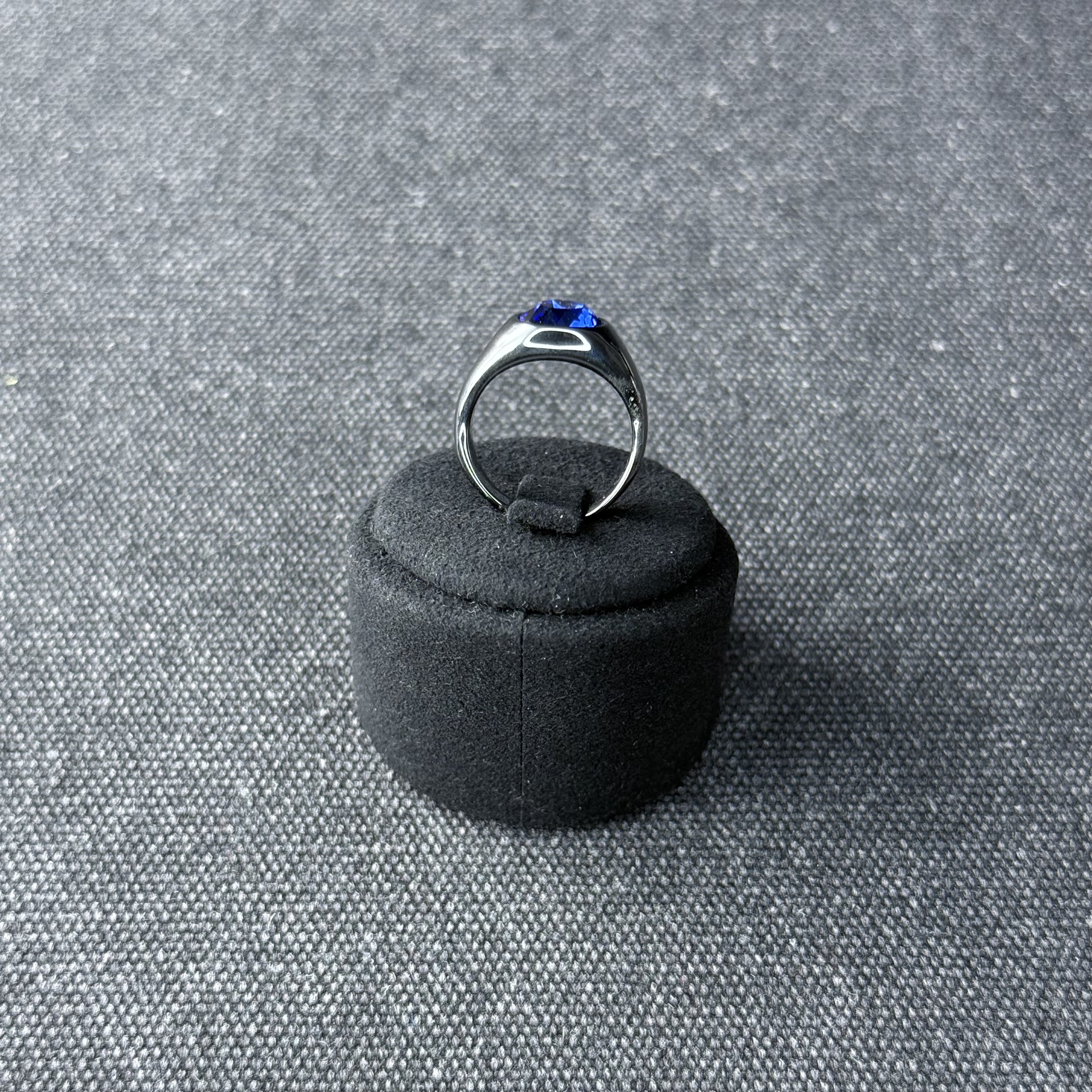 Anulus signatoriusのお写真です。