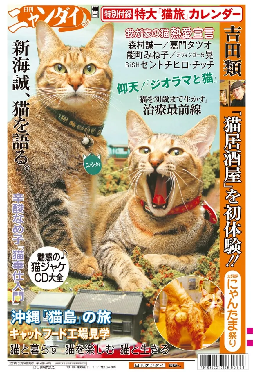 保護猫カフェ「ジオラマ食堂」がTiktokチャンネルで大人気！日刊