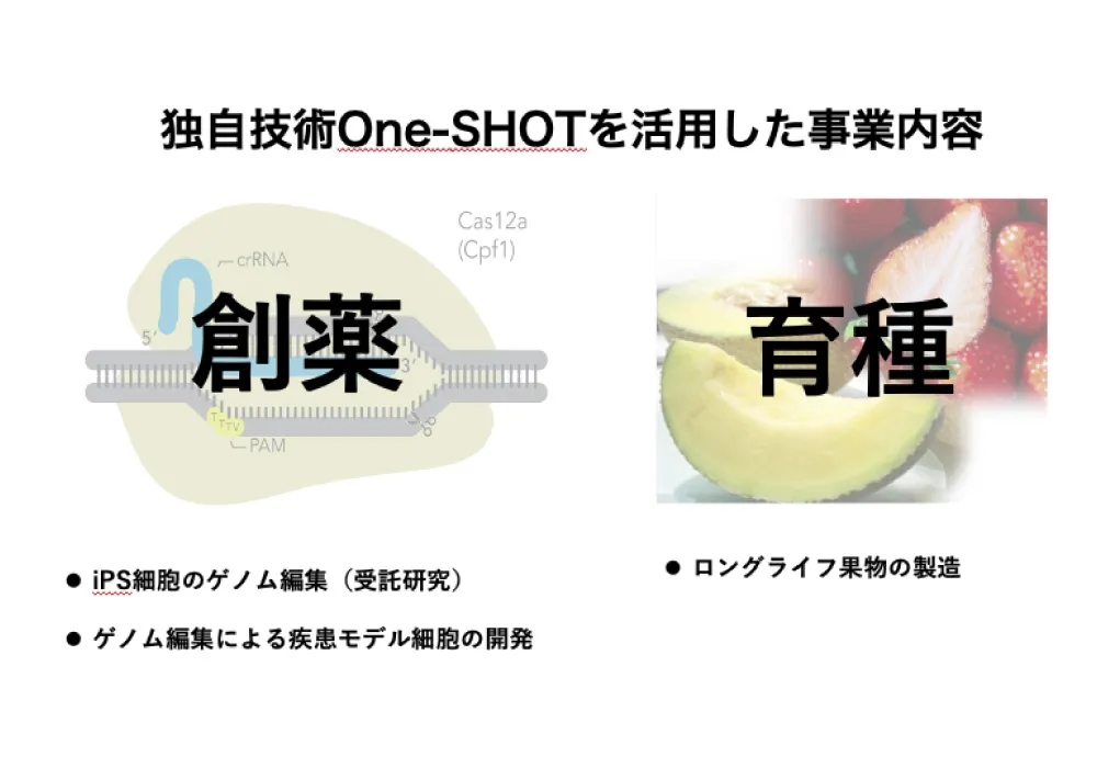 ネイチャー　ヒトゲノム特集号　2冊組 ネイチャー ヒトゲノム特集号 2冊組 ネイチャー ヒトゲノム特集