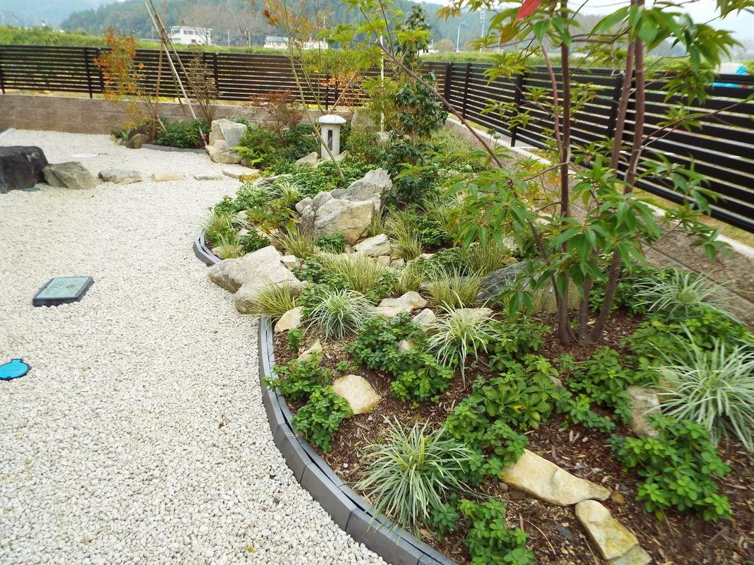 ただいま半額です！！ 40本 6級品 姶良市まで送料込みガーデニング 庭