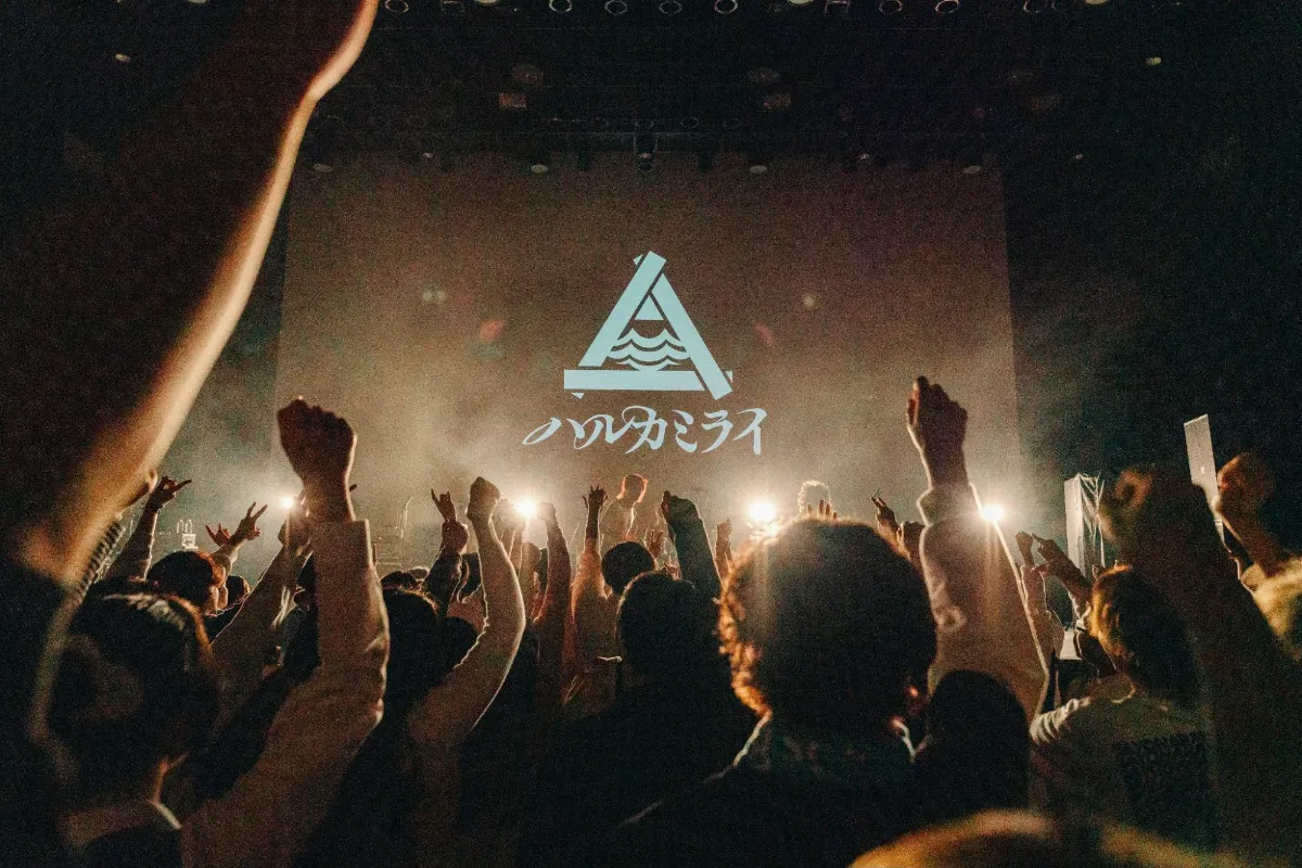 ハルカミライ 幕張配布 ライブ音源 光インザファミリー