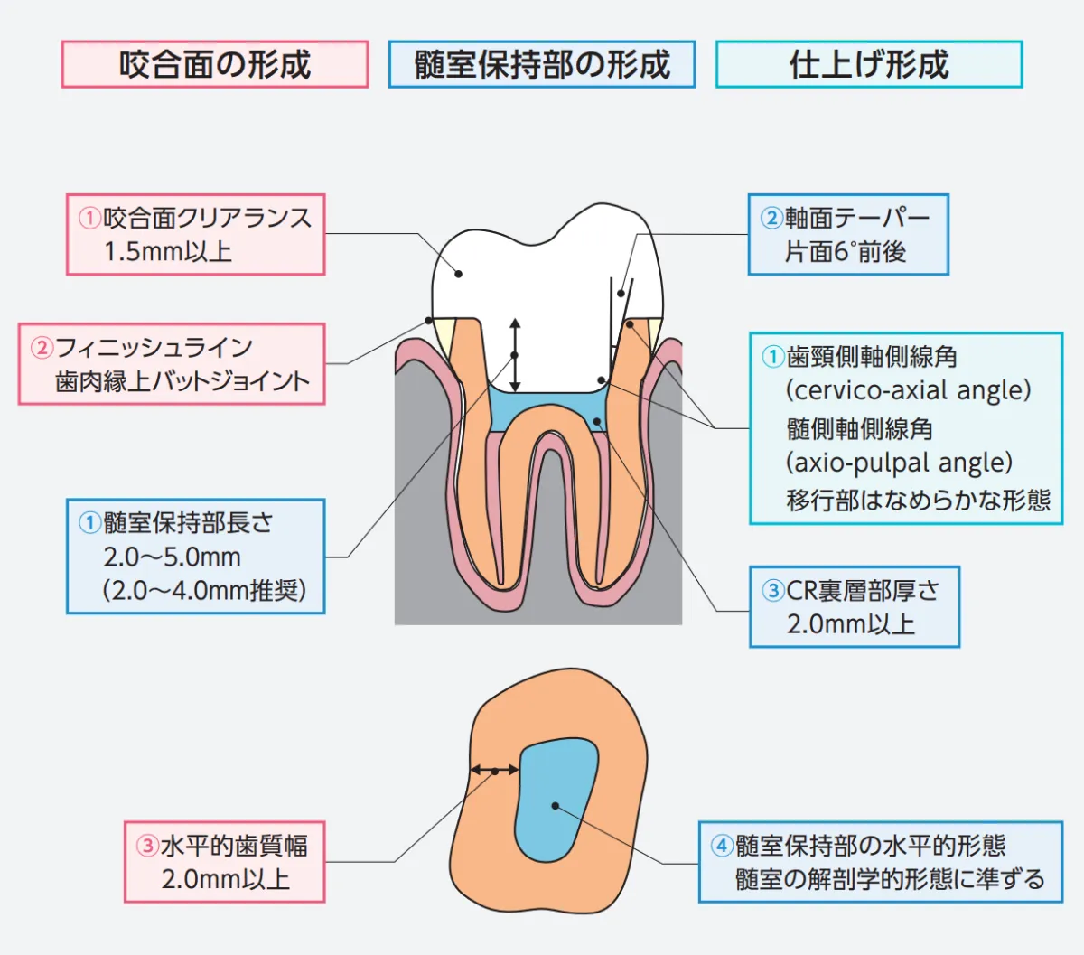 アナトミカル日歯咬合面形成法 アナトミカル臼歯咬合面形成法 - クインテッセンス出版