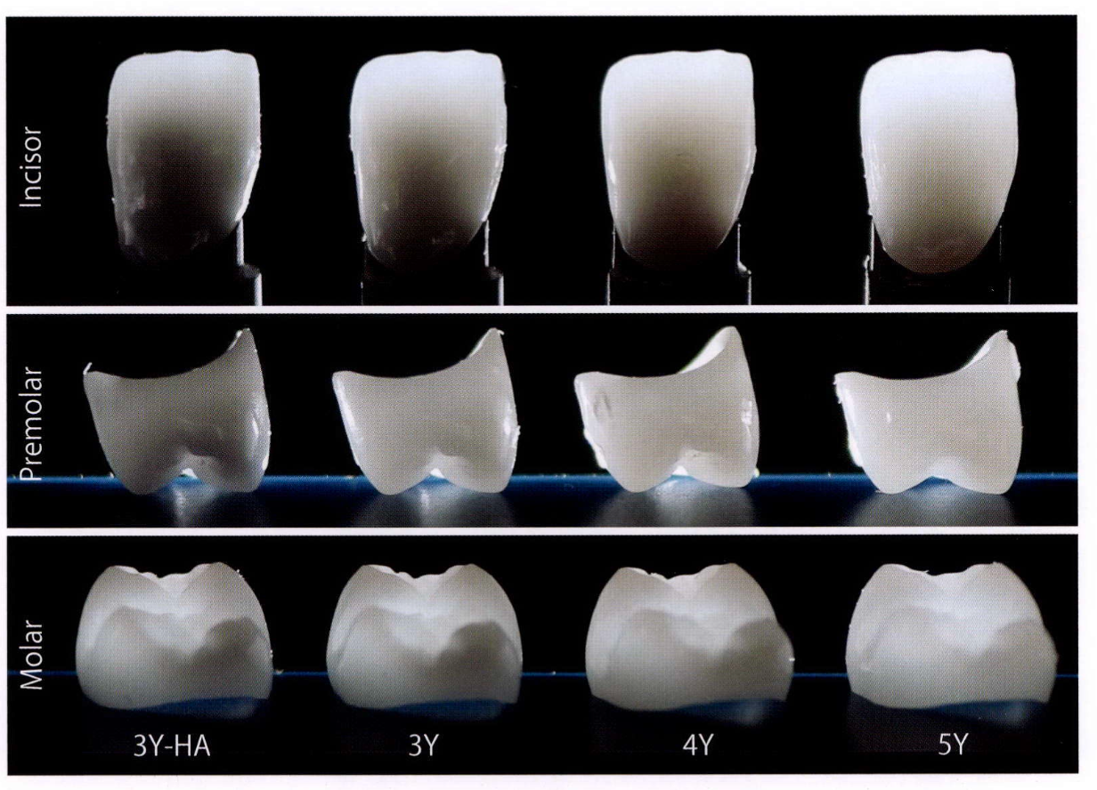 s-1232x888_v-fms_webp_853493ce