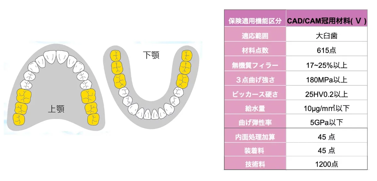 CAD/CAM 小臼歯ブロック 未使用 45個 ＋1個