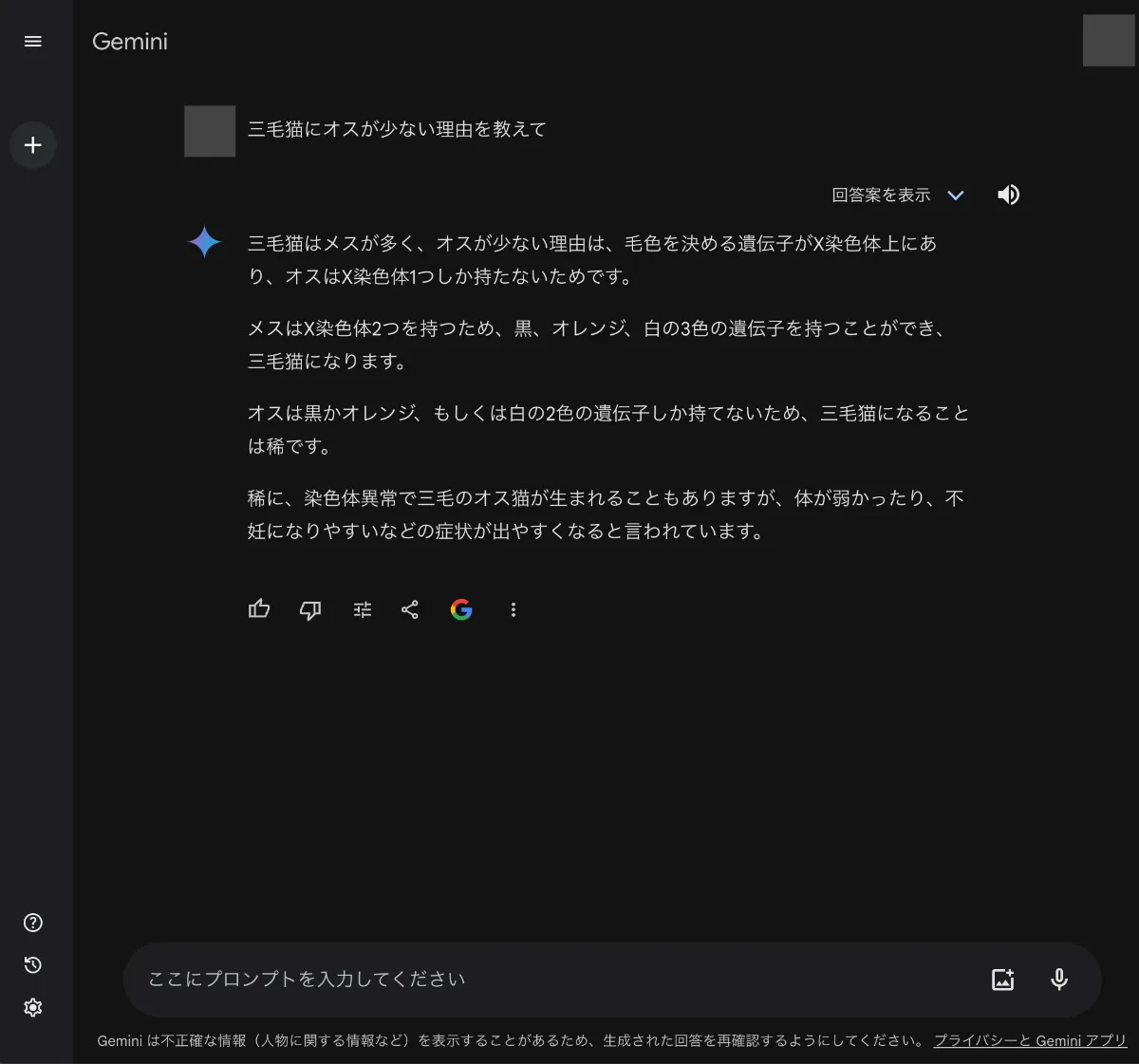 人材紹介×生成AI】新しくなったGoogle製AI「Gemini」の使い方を紹介