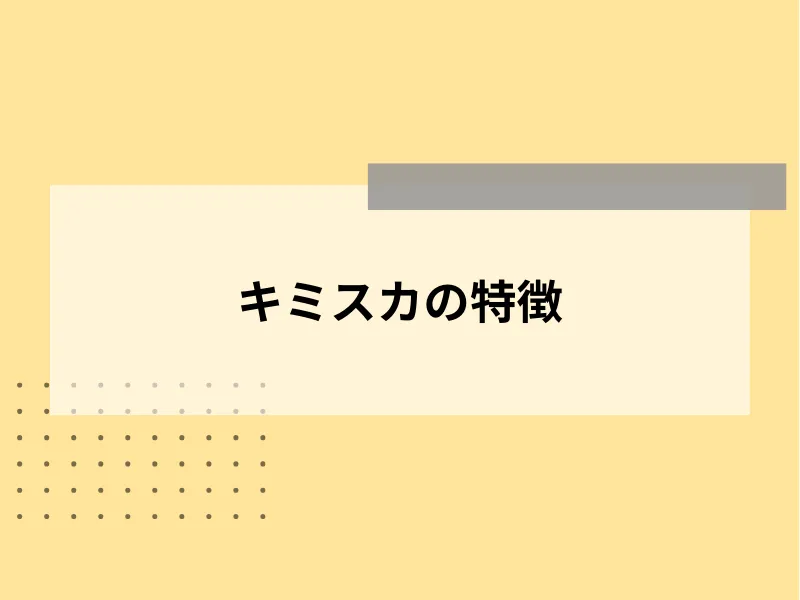 キミスカの特徴