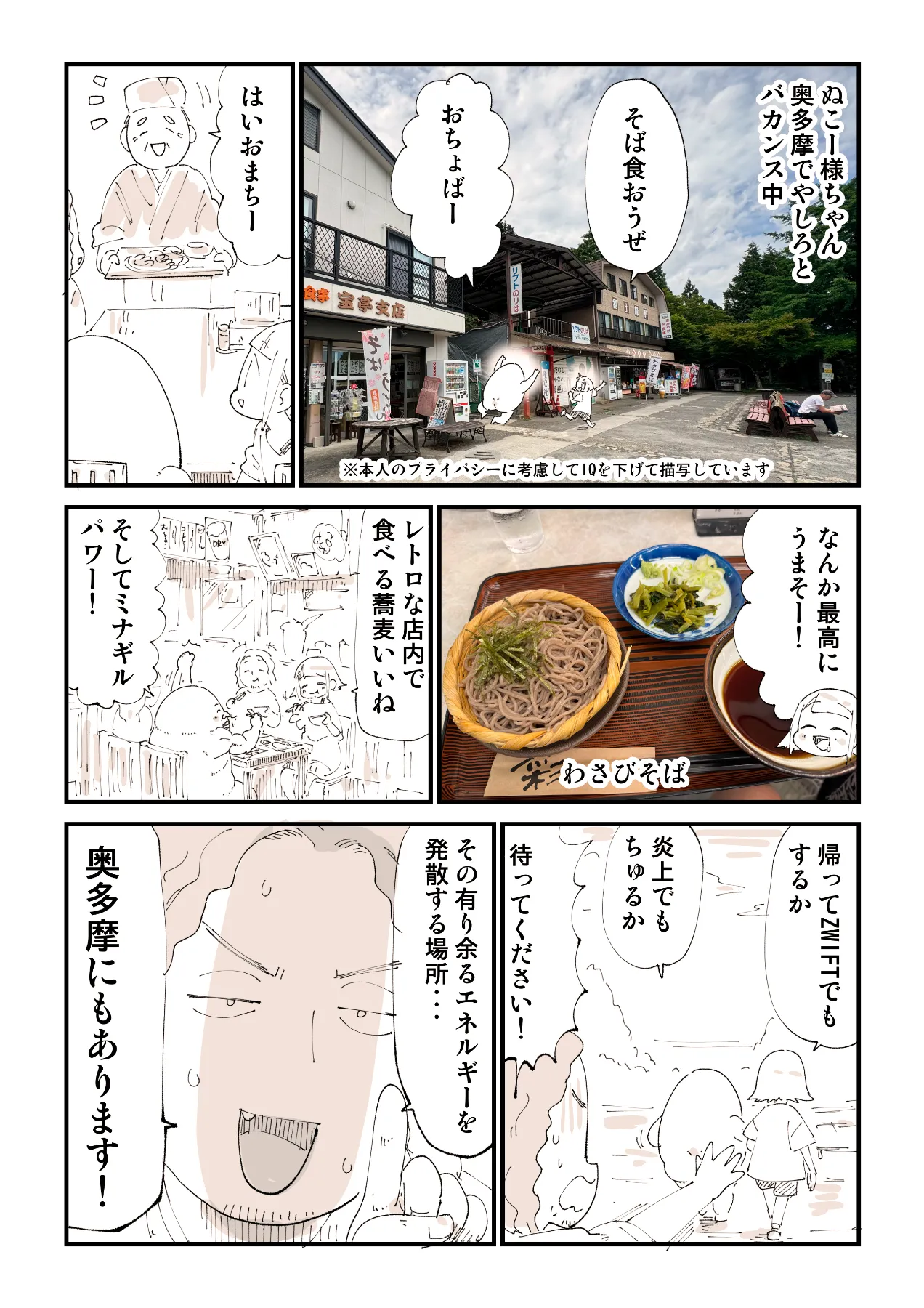 【ぬこ様オーダーページ】 ねこねこ様 オーダーページ①