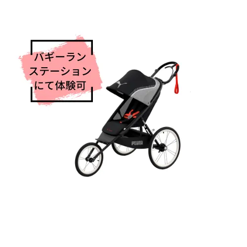 Buggy Catalog | Buggyrun station