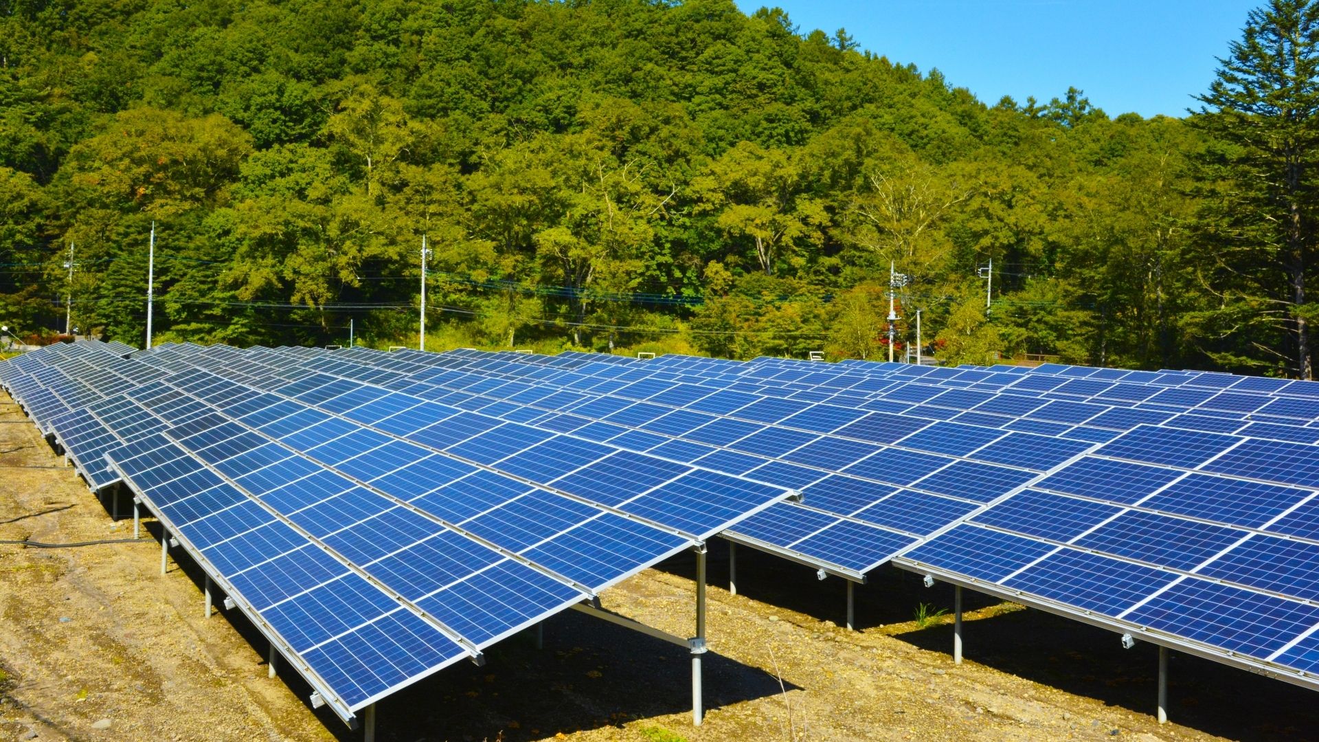 株式会社ソーラーハートの口コミ・評判や強み、取り扱い製品も紹介