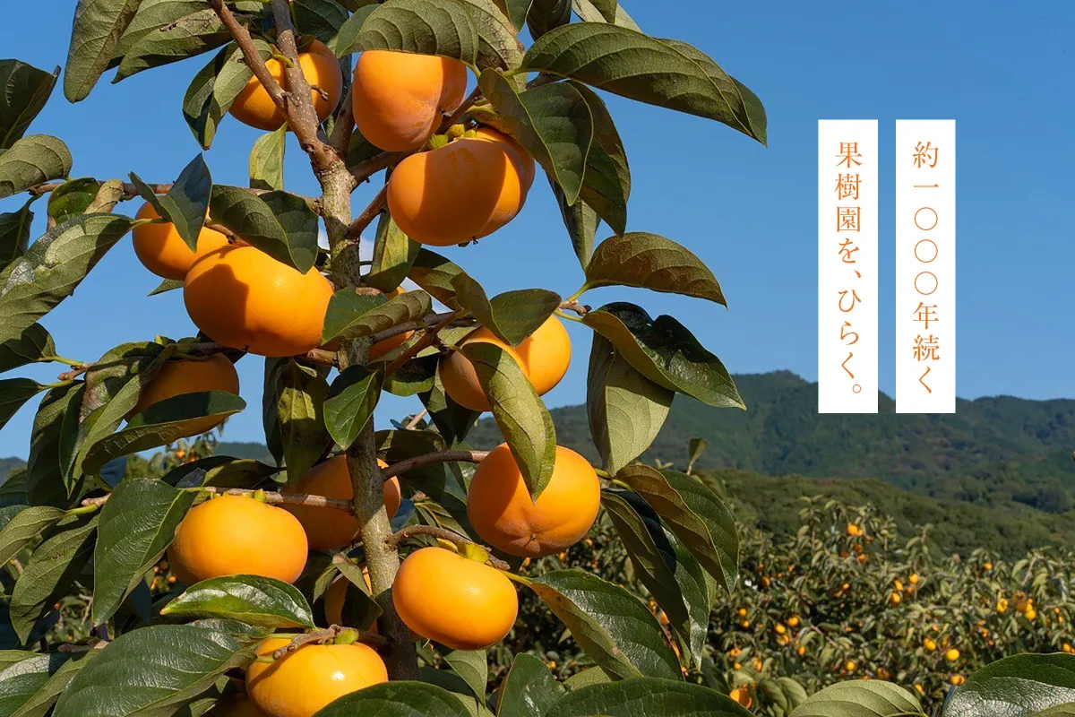 天理 倉の耕流祭