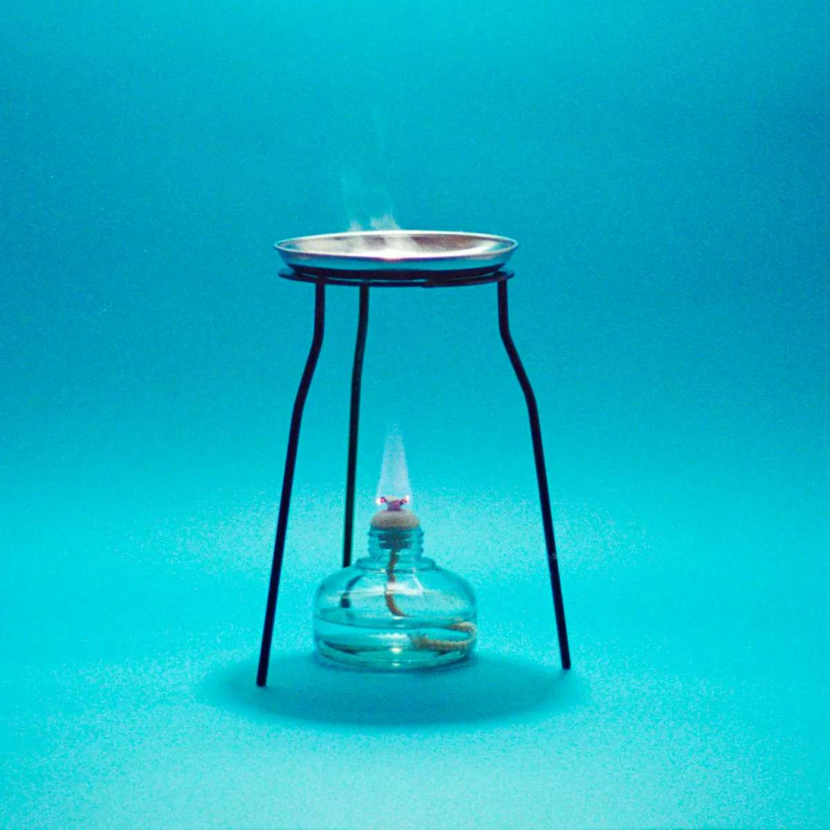 ライブに対して信用も崇拝もしている」FINLANDS・塩入冬湖が語るライブ