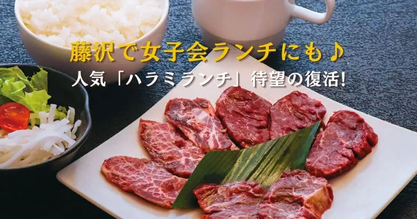 女子会ハラミランチアイキャッチ 